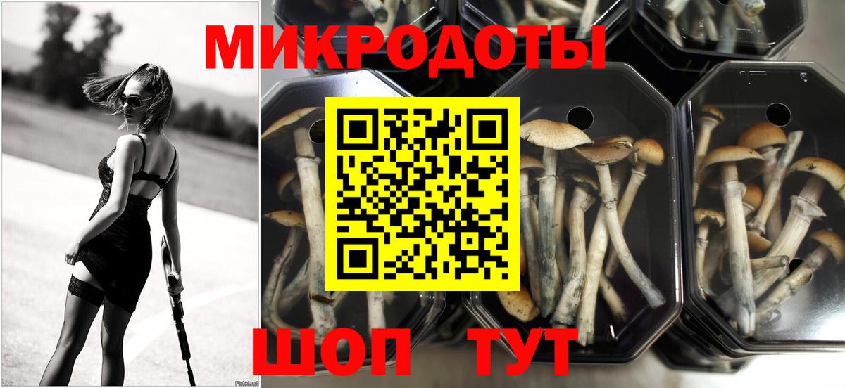 Псилоцибиновые грибы GOLDEN TEACHER  Галлюциногенные грибы Psilocybe  Вход с VPN  Гай 