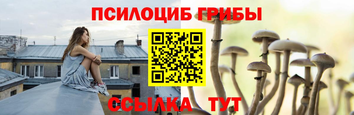 Галлюциногенные грибы ЛСД Гай
